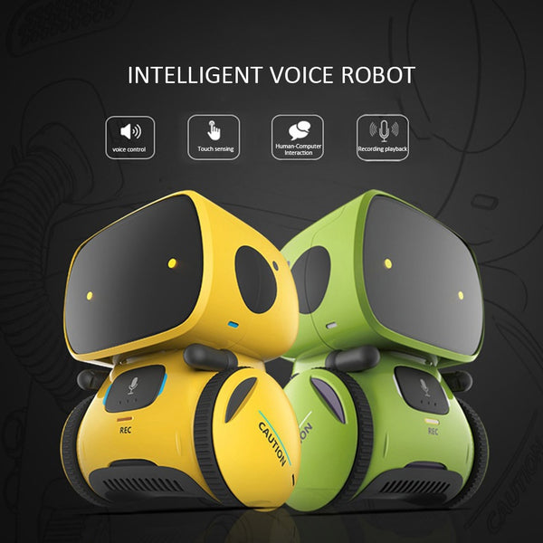 Interactive Toy / Smart Robot