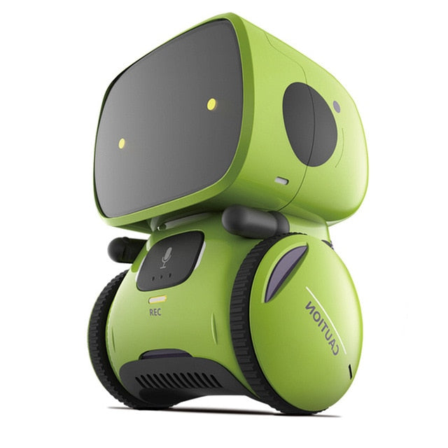 Interactive Toy / Smart Robot